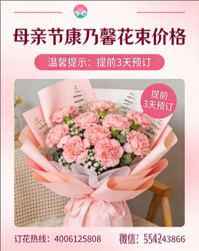 怀化溆浦县花店母亲节康乃馨花束