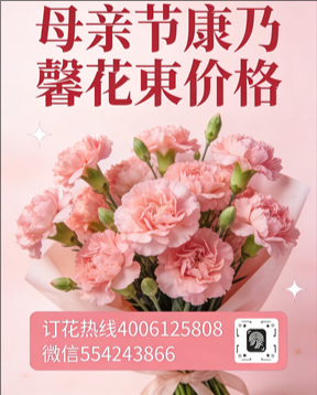 怀化溆浦县花店母亲节康乃馨花束